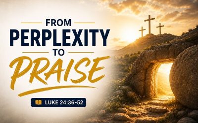 FROM PERPLEXITY TO PRAISE