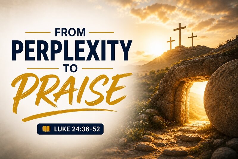 From perplexity to praise.